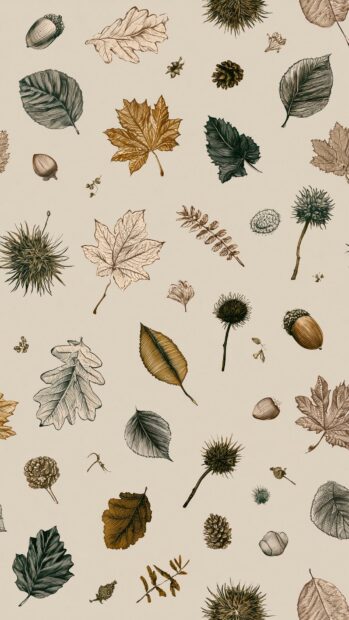 Fall aesthetic wallpaper showcasing various hand-drawn botanical elements like leaves, acorns, and pinecones scattered across a light background
