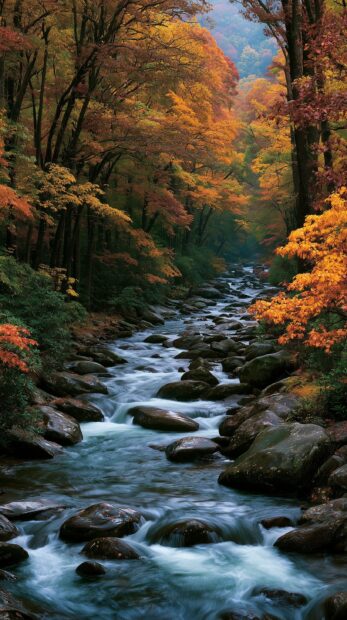A serene Fall Wallpaper featuring a clear river flowing through a lush autumn forest with colorful trees on both banks