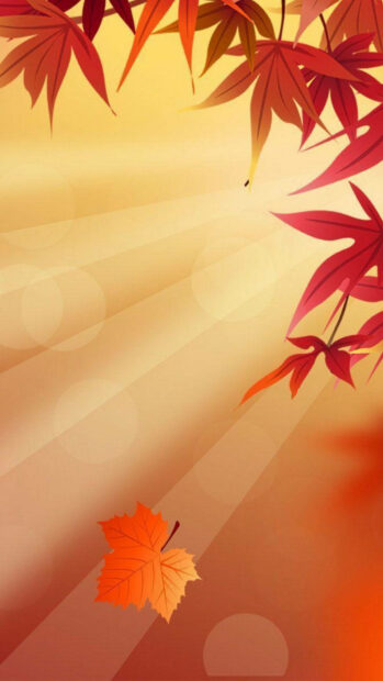 Free Download Fall Leaves Hd Wallpapers featuring an aesthetic illustration of red maple leaves and sun rays on a warm background