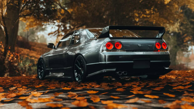 Free Download Fall Leaves Hd Wallpapers of a sleek black sports car parked on a forest path covered with autumn leaves