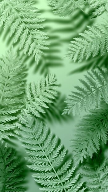 A beautiful green aesthetic wallpaper featuring soft fern leaves with subtle shadows