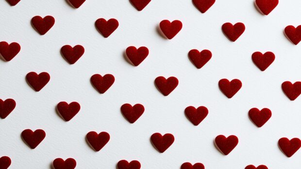 Hearts wallpaper showcasing a pattern of small, dark red, velvety hearts against a clean white backdrop