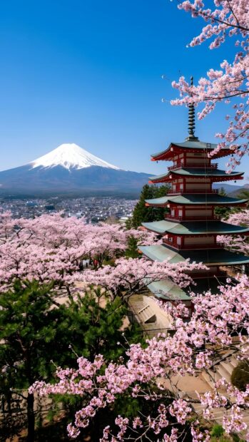 A beautiful Japanese landscape wallpaper showcasing Mount Fuji behind a traditional pagoda framed by pink cherry blossoms