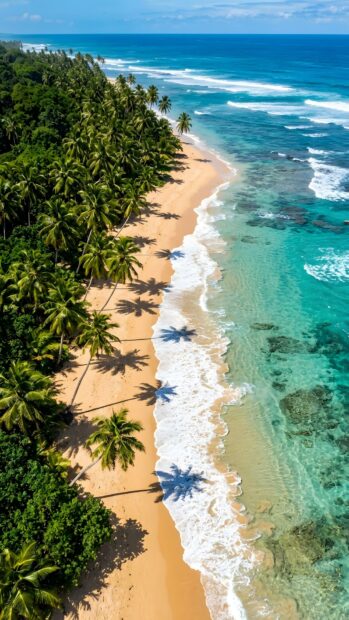 An stunning landscape wallpaper showcasing an aerial view of a tropical beach with lush palm trees and clear turquoise ocean water