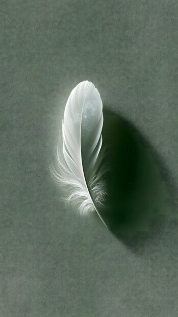 A clean minimalist wallpaper featuring a delicate white feather with a subtle shadow against a dark green textured background. This simple yet elegant design is ideal for mobile screens