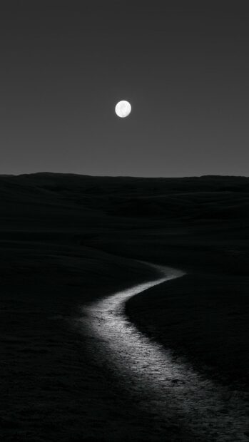 Monochromatic Moon Wallpaper featuring a full moon illuminating a winding path through a dark, minimalist landscape