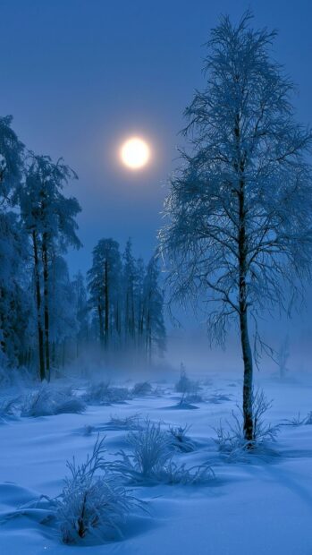 Serene Moon Wallpaper capturing a bright moon in a misty, snowy winter forest landscape with frost-covered trees
