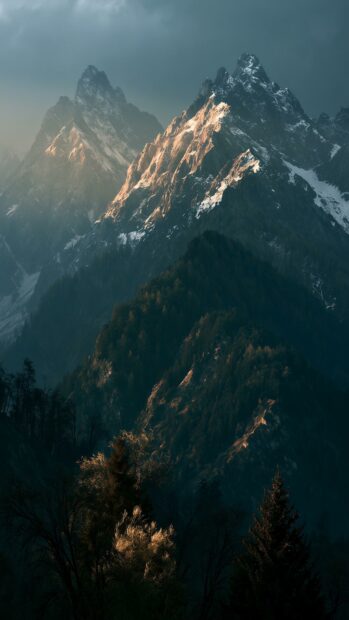 Mountain wallpaper featuring majestic sunlit snow peaks and a dark forest below