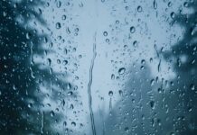 A captivating Rain Wallpaper featuring raindrops clinging to a window pane, looking out onto a dark and blurry forest, creating a moody atmosphere