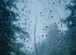 A captivating Rain Wallpaper featuring raindrops clinging to a window pane, looking out onto a dark and blurry forest, creating a moody atmosphere