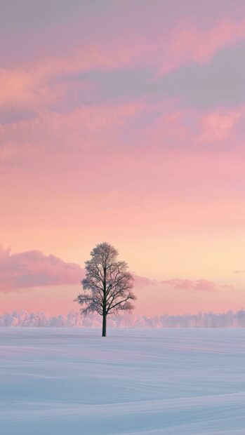 A minimalist winter wallpaper featuring a single snow-covered tree in a vast field under a soft pink sky