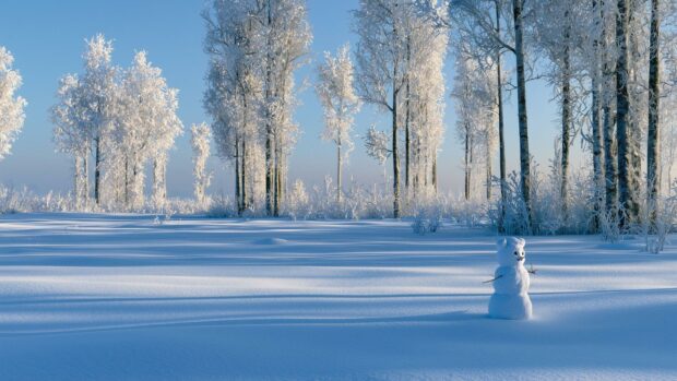 A beautiful Winter Wallpaper featuring a cheerful snowman in a vast snowy field with frost-covered trees and a clear blue sky
