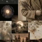 Dark Academia Wallpaper Moonlit Collage