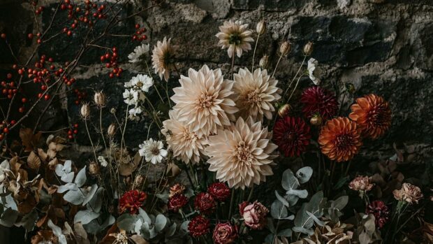 Dark Academia Wallpaper with rustic flowers against a stone wall in 2K resolution