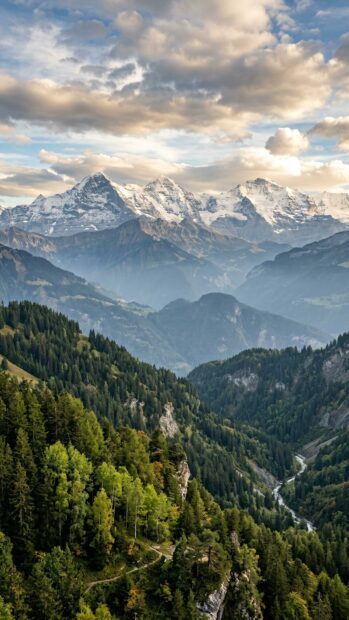 A breathtaking view of snow-capped mountains with a lush green forest in the valley
