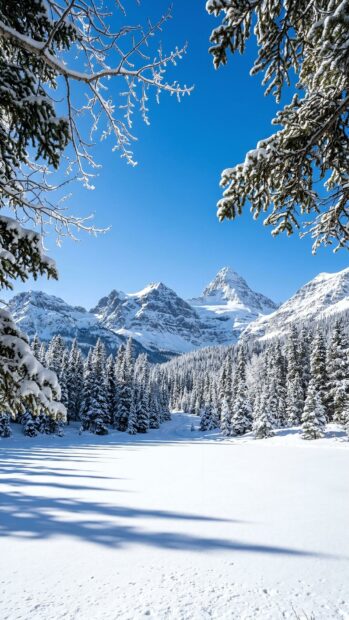 Snowy field with trees and mountains under a vibrant blue sky