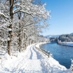 Snow Wallpaper River Path