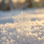Snow Wallpaper Snowflake Close-Up