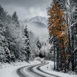 Snow Wallpaper Winding Road in Forest