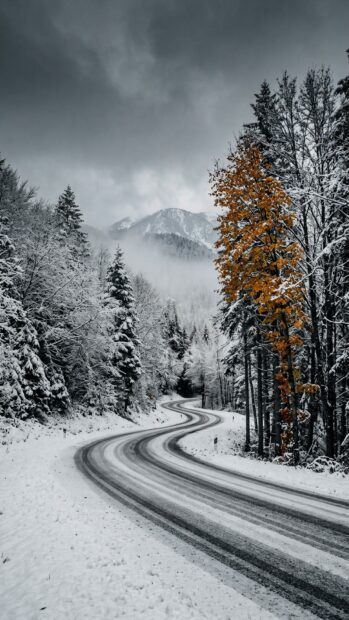 Snowy winding road lined with trees, one with orange leaves, under a cloudy sky