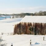 Rustic Barn Red Cardinal Country Christmas Wallpaper