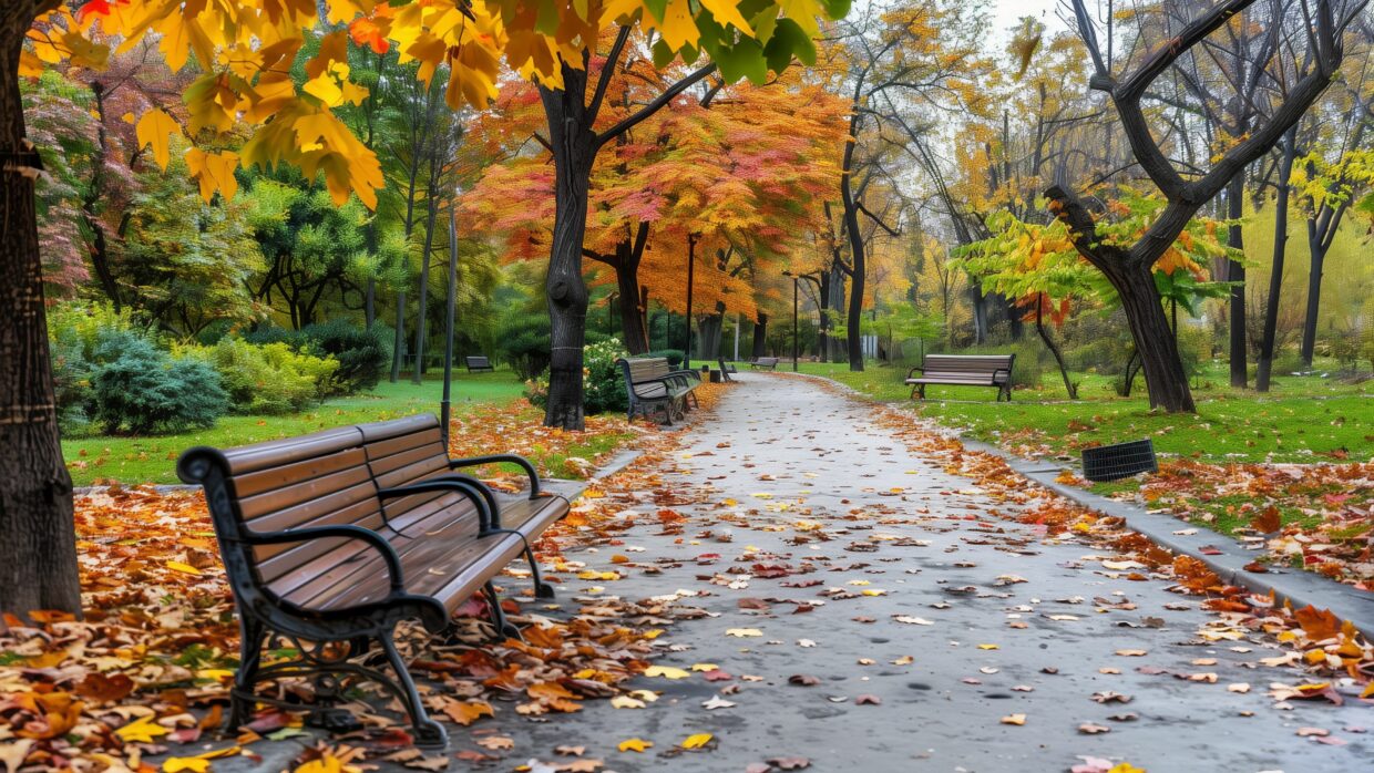 Fall Backgrounds 4K High Definition - PixelsTalk