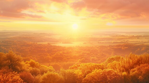 A fall sunset over a forest, sky painted with warm hues of orange and pink.