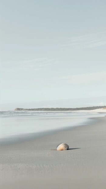 A minimalist Beach iPhone wallpaper with smooth sand and a single.