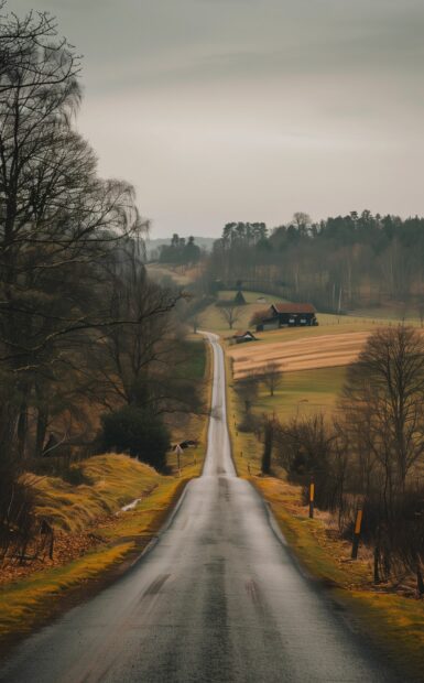 A peaceful rural road with golden fields on either side and a lone farmhouse in the distance, iPhone Country 4K Wallpaper.