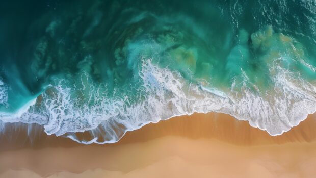 A serene beach with gentle ocean waves lapping at the shore background.