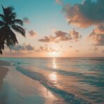 A sunset over a tropical beach with palm trees silhouetted against the sky, Beach Desktop Wallpaper HD.