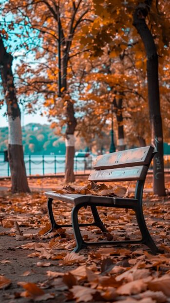Autumn iPhone leaves in a scenic park.