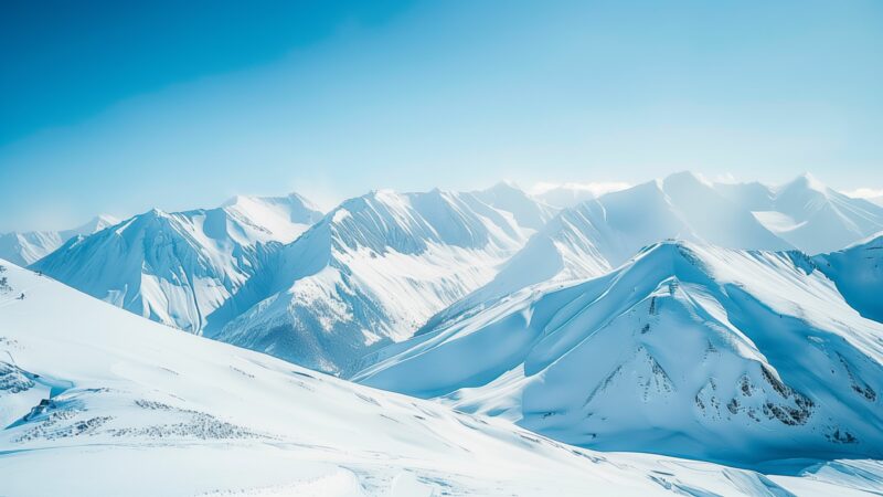 Bing Daily Backgrounds - PixelsTalk