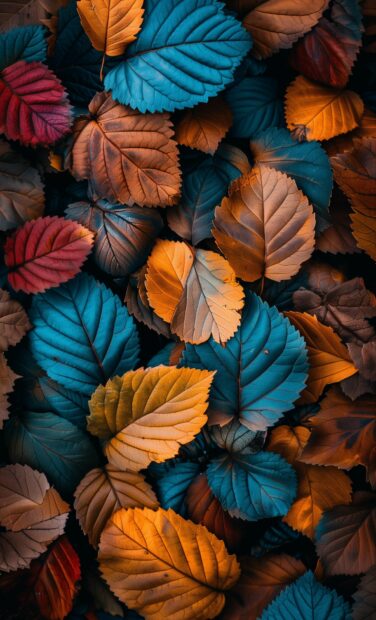Fall leaves in a beautiful pattern, showcasing the rich colors of autumn, mobile wallpaper.