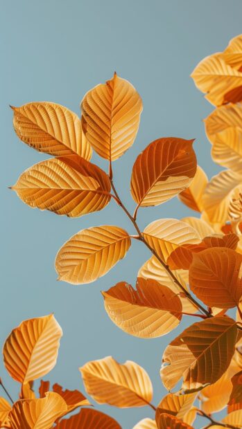Golden autumn leaves against a clear sky.