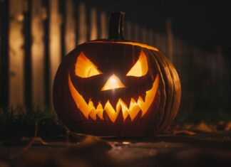 Halloween Pumpkin Background HD Free Download.