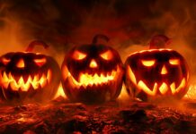 Halloween Wallpaper HD 2K Free Download.
