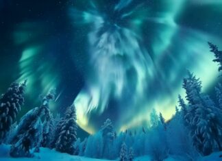 Northern Lights Wallpaper creating a magical scene over a winter forest.