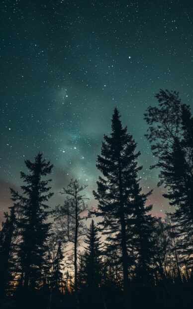 Northern Lights Wallpaper iPhone with silhouettes of tall pine trees.