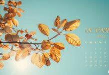 October 2024 Calendar Desktop Wallpaper Free download.