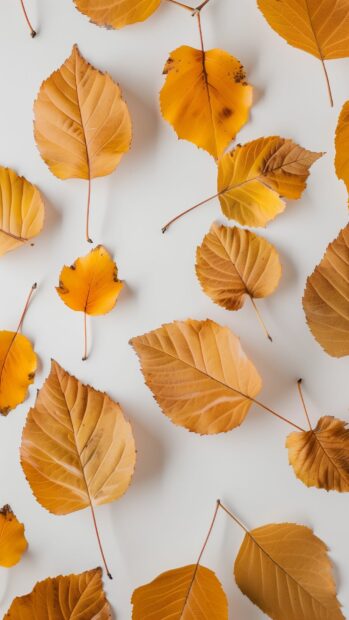 Simple autumn leaves pattern with a neutral background (2).