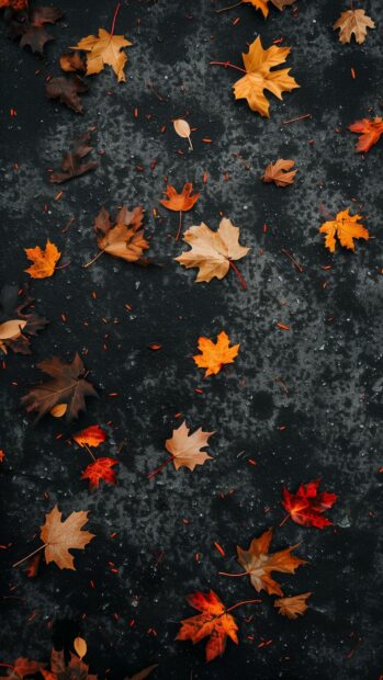 Simple design of autumn leaves scattered on the ground.