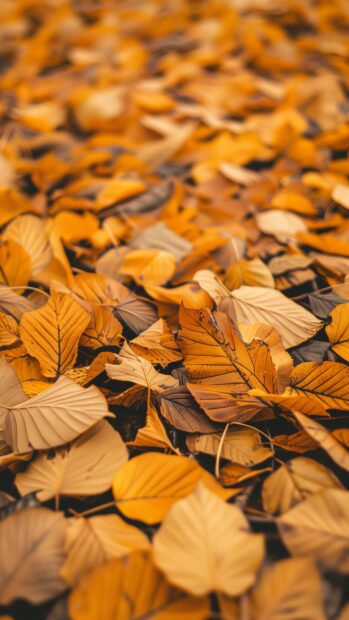 Sparse autumn leaves with negative space iPhone wallpaper.