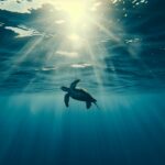 Underwater ocean view with a majestic sea turtle gliding.