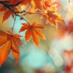 Vibrant autumn 4K wallpaper foliage in a beautiful garden.