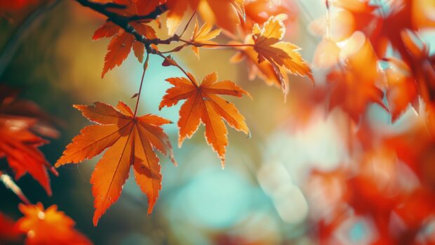 Vibrant autumn 4K wallpaper foliage in a beautiful garden.