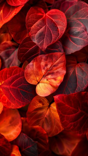 Vibrant red and orange autumn iPhone wallpaper.