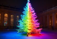 Vibrant rainbow-lit Christmas tree illuminated at night in a historic urban setting, creating a festive and colorful atmosphere.