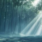 Bamboo forest Natre Desktop Wallpaper with sunlight filtering through, serene and peaceful atmosphere.