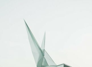 A cool 3D bird in mid flight, formed by geometric shapes and suspended above a calm, reflective water surface.